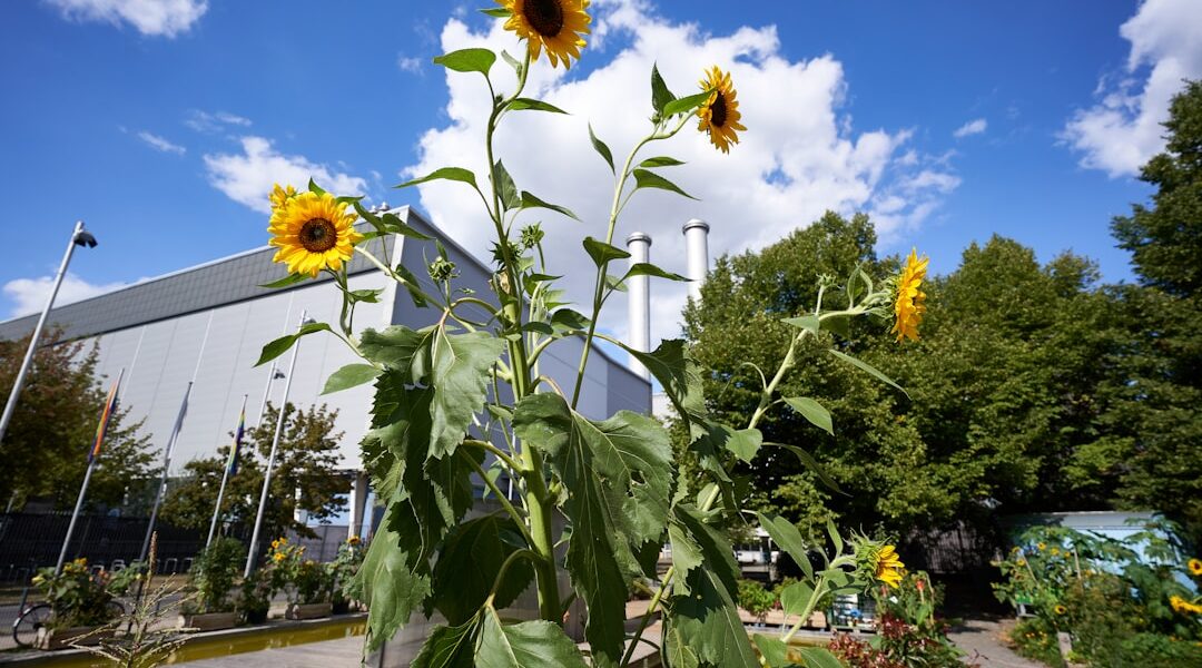 Industrial air pollution and smog representing WHO new global air pollution roadmap targeting 50 percent reduction by 2040