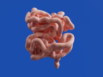 Scientific illustration of gut microbiome bacteria representing the gut-brain connection and mental health research