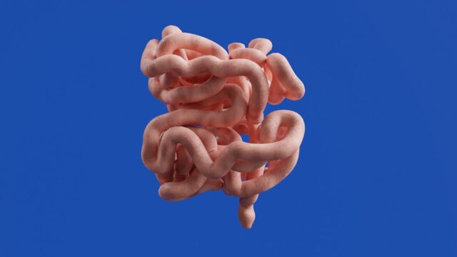 Scientific illustration of gut microbiome bacteria representing the gut-brain connection and mental health research