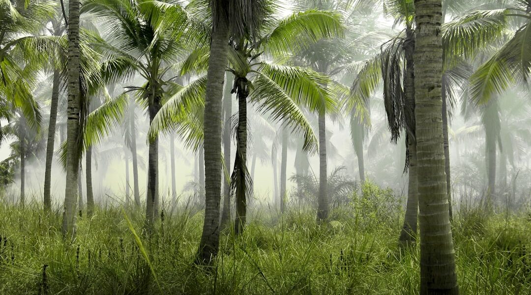 Mosquito net representing malaria prevention efforts on World Malaria Day 2026